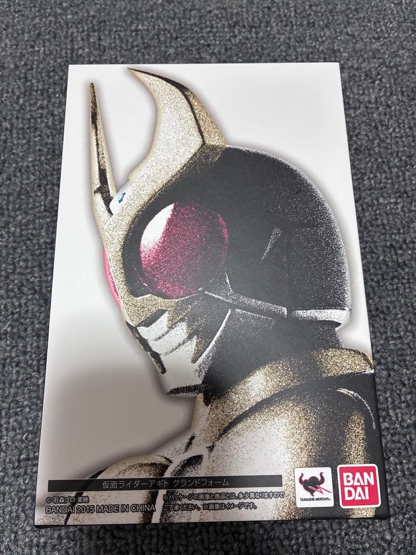 仮面ライダーアギト 真骨彫