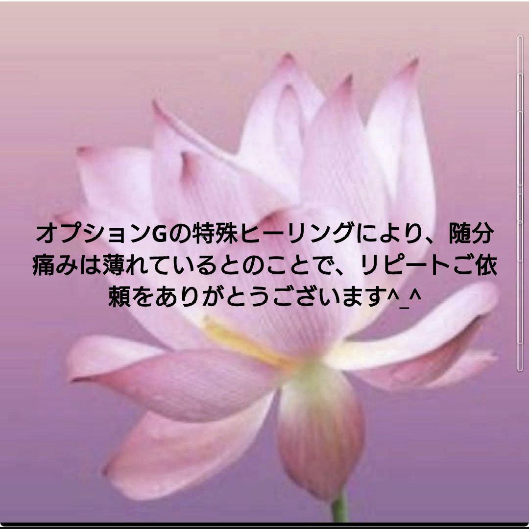 人間関係良好☆お釈迦様オルゴナイト（願い叶えるメモリーオイル封入）