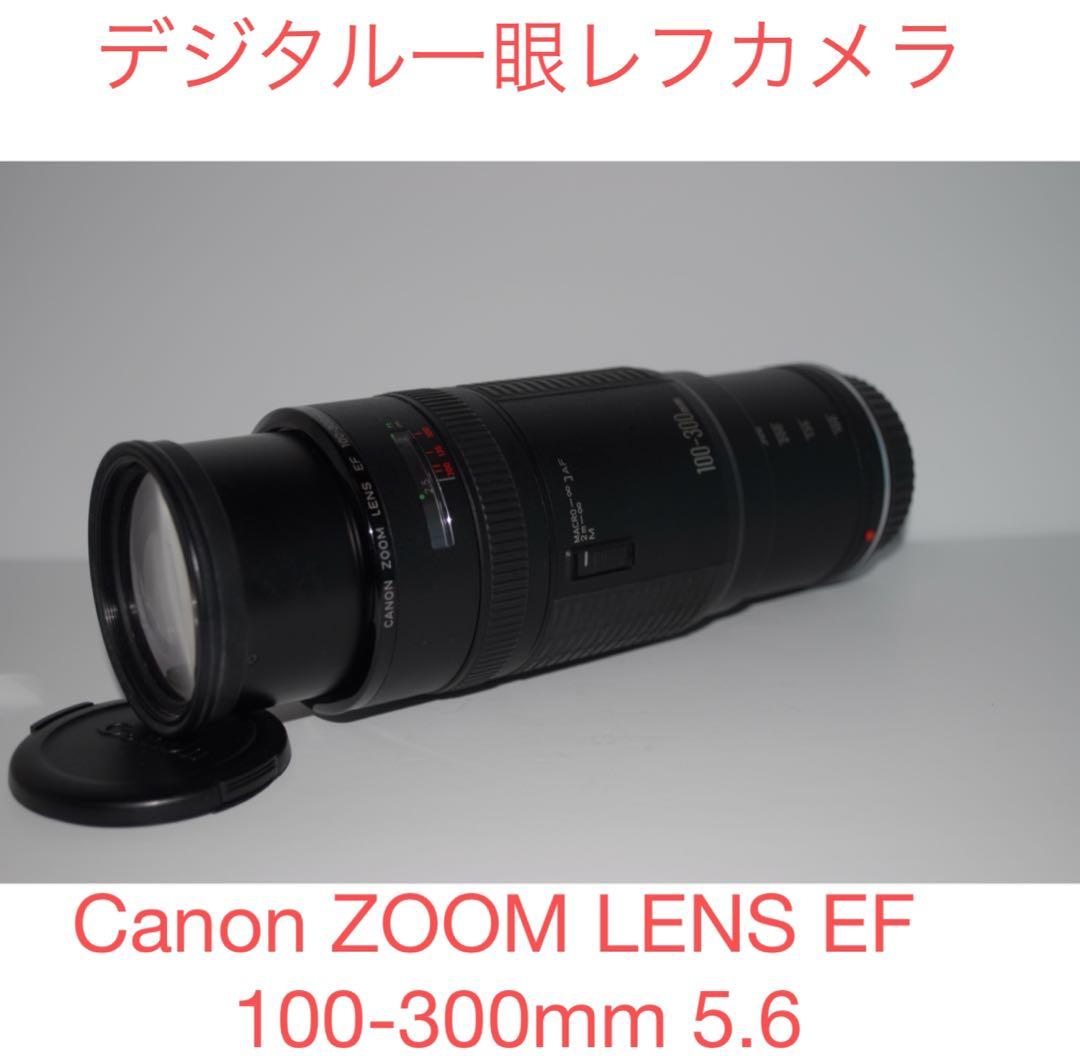 一眼レフカメラCanon ZOOM LENS EF 100-300mm 5.6