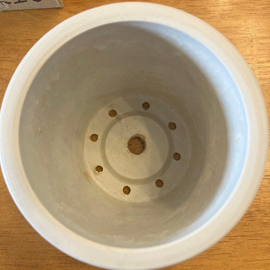 backsideworks バックサイドワークス 鉢 植木鉢 棘式