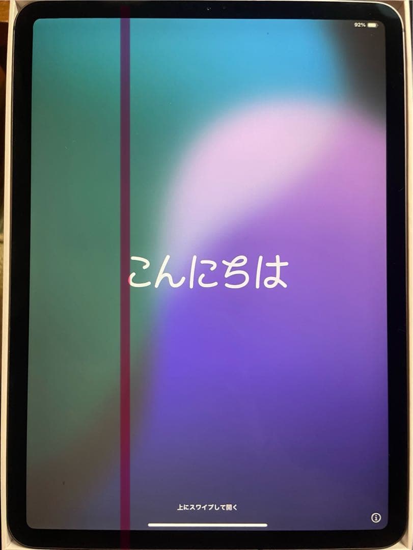 iPad本体 iPad Pro11 64GB