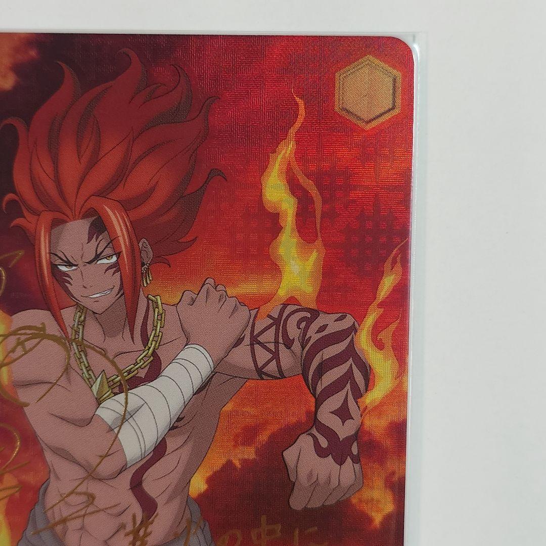 WS　FAIRY TAIL　SSP　ルーシィ・SP　グレイ・SP　イグニアセット