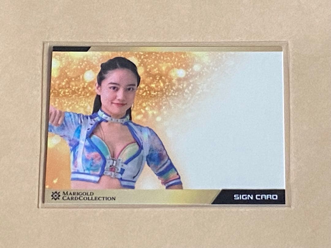 山田奈保 マリーゴールド エラーカード 直筆サイン無し トレカ MARIGOLD
