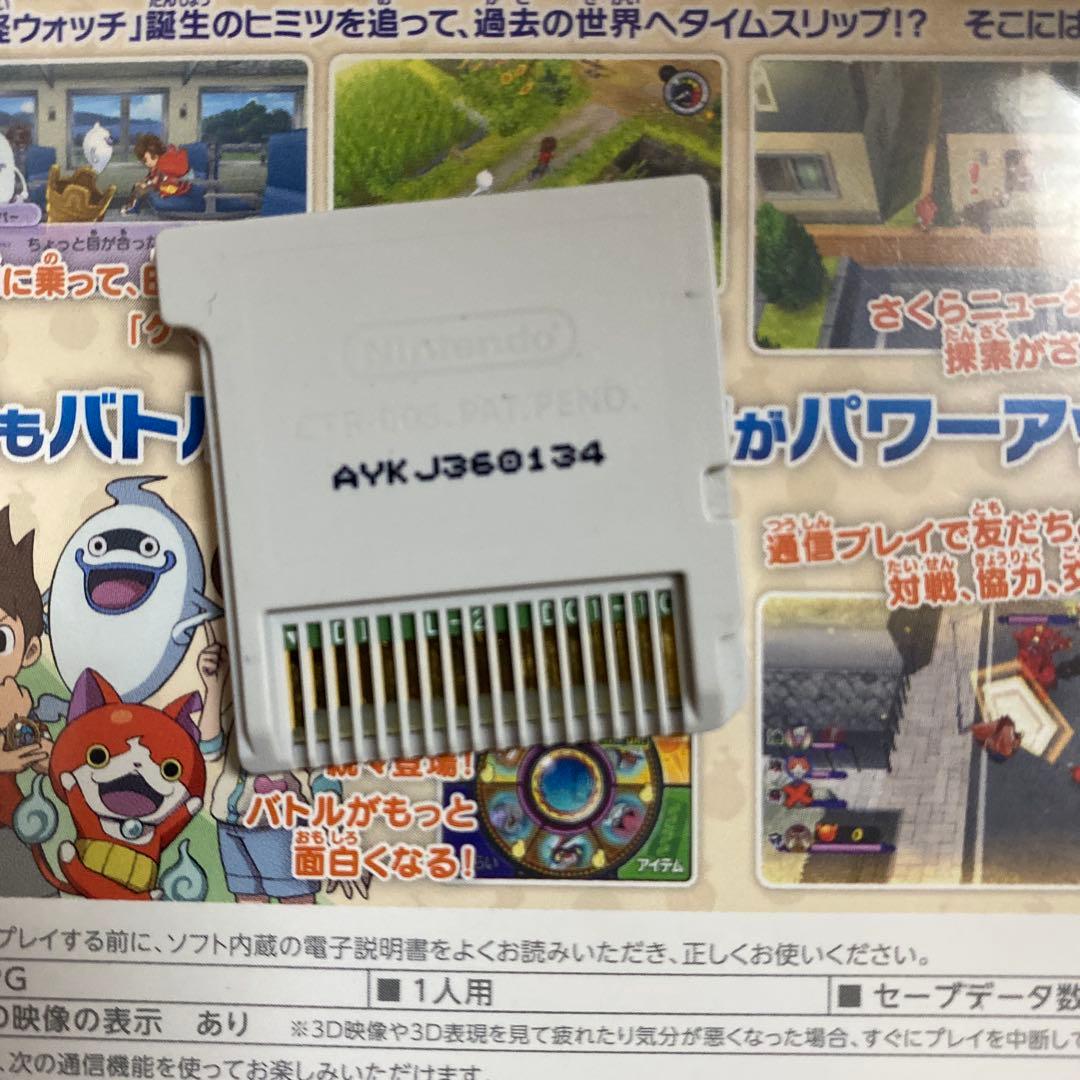 ドラゴンワタル出品