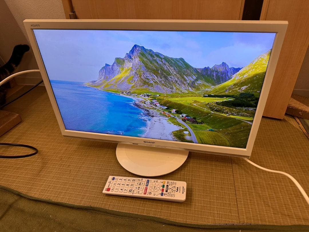 SHARP シャープ　22型　テレビ　2T-C22AD 2019年製　超美品！