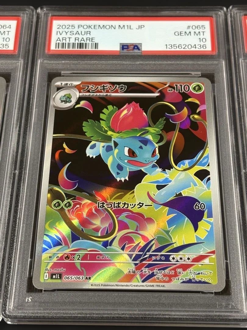 PSA10 連番 フシギダネ フシギソウ AR フシギバナ SAR ar sar