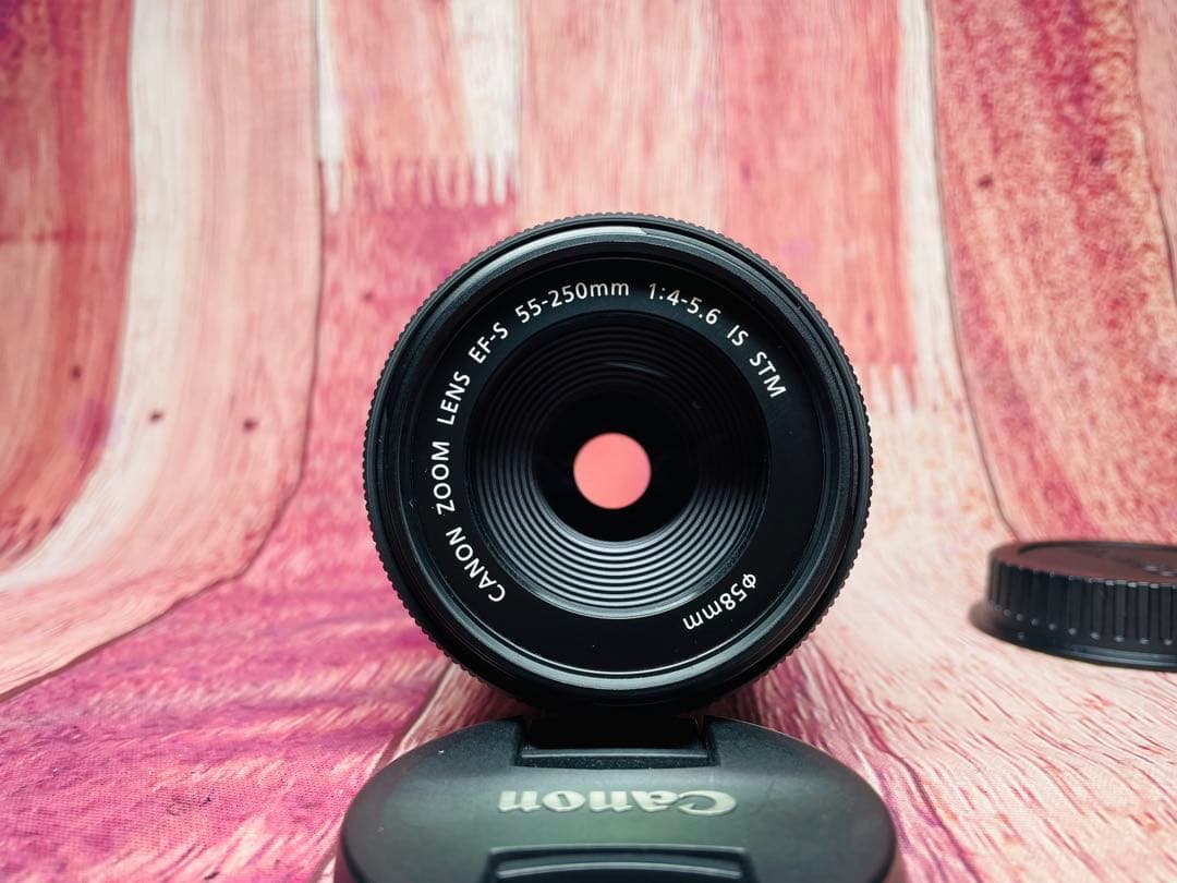 CANON キャノン EF-S 55-250mm 1:4-5.6 IS STM