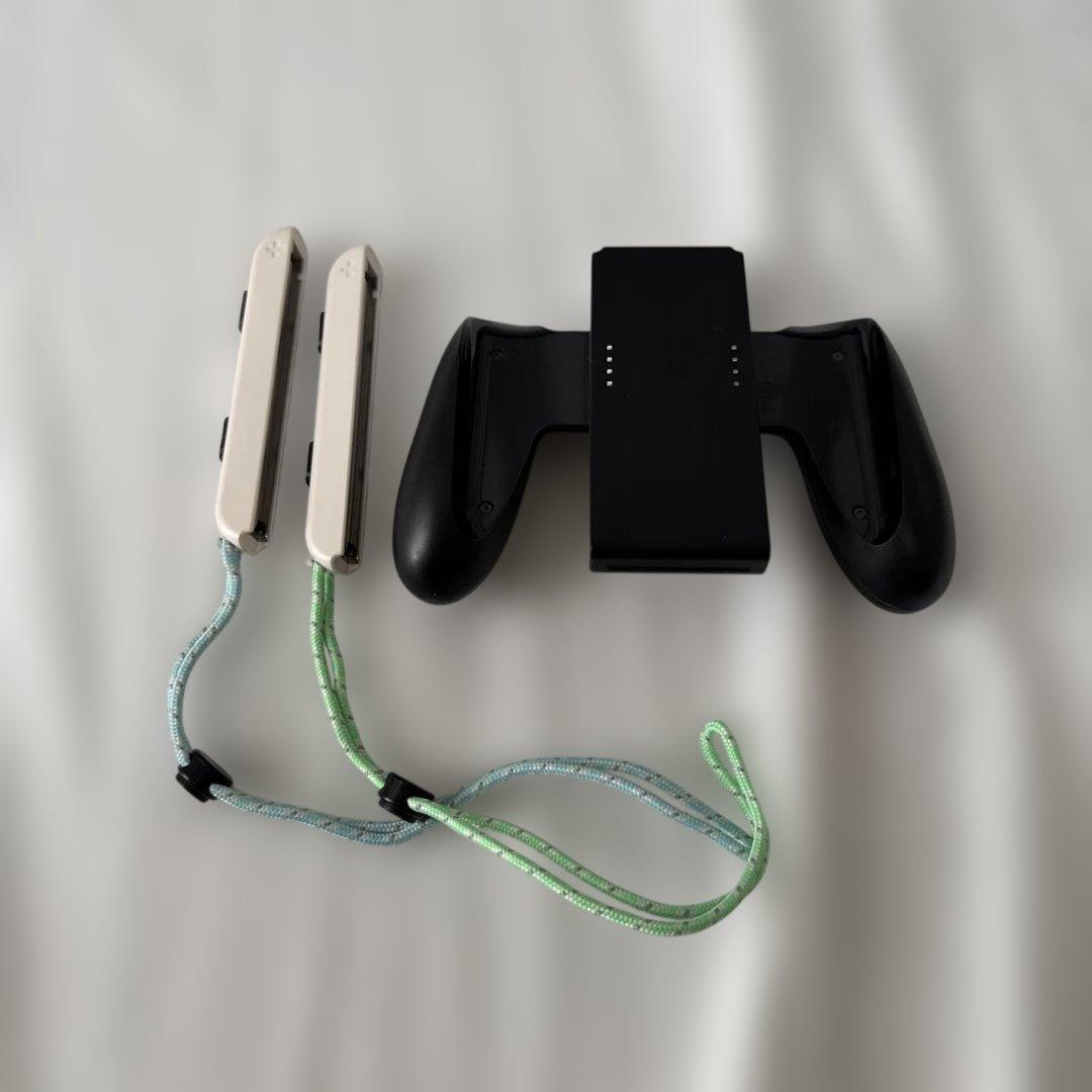 Nintendo Switch あつまれどうぶつの森版 本体セット ケース付