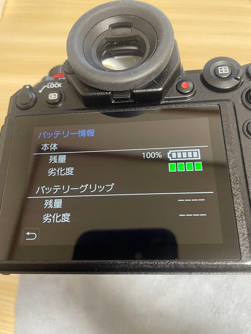 LUMIX DC-S1 20-60mmレンズキット【シャッター5.3万回】