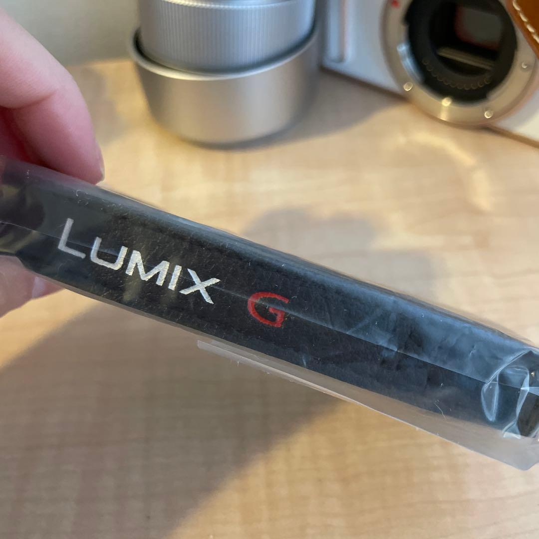 中古美品 パナソニック LUMIX G DC-GF10W 4K 専用カバー付き