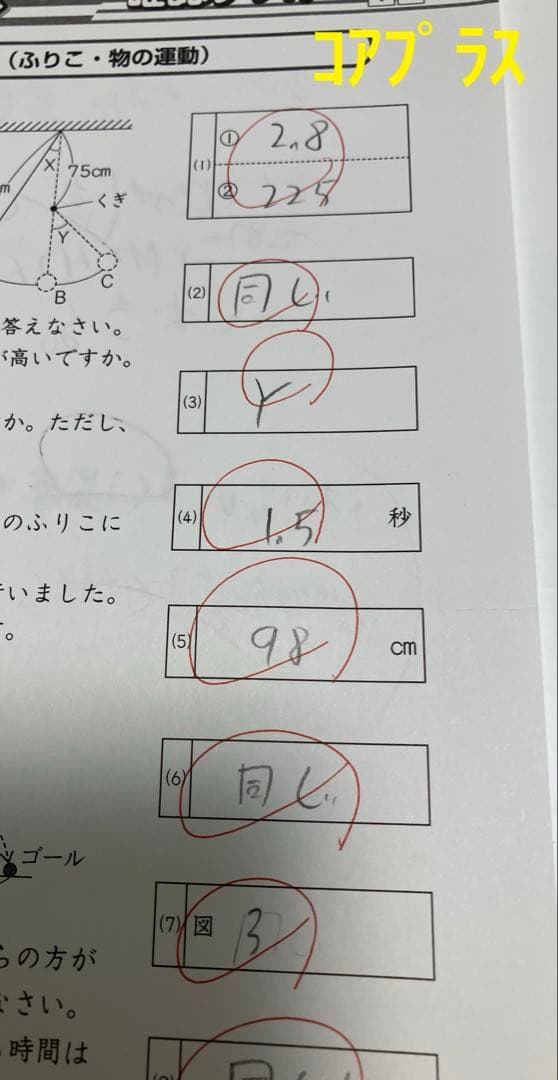 小6 理科 デイリーサピックス 24回分+春期講習•夏期講習 ウィークリーサピ他