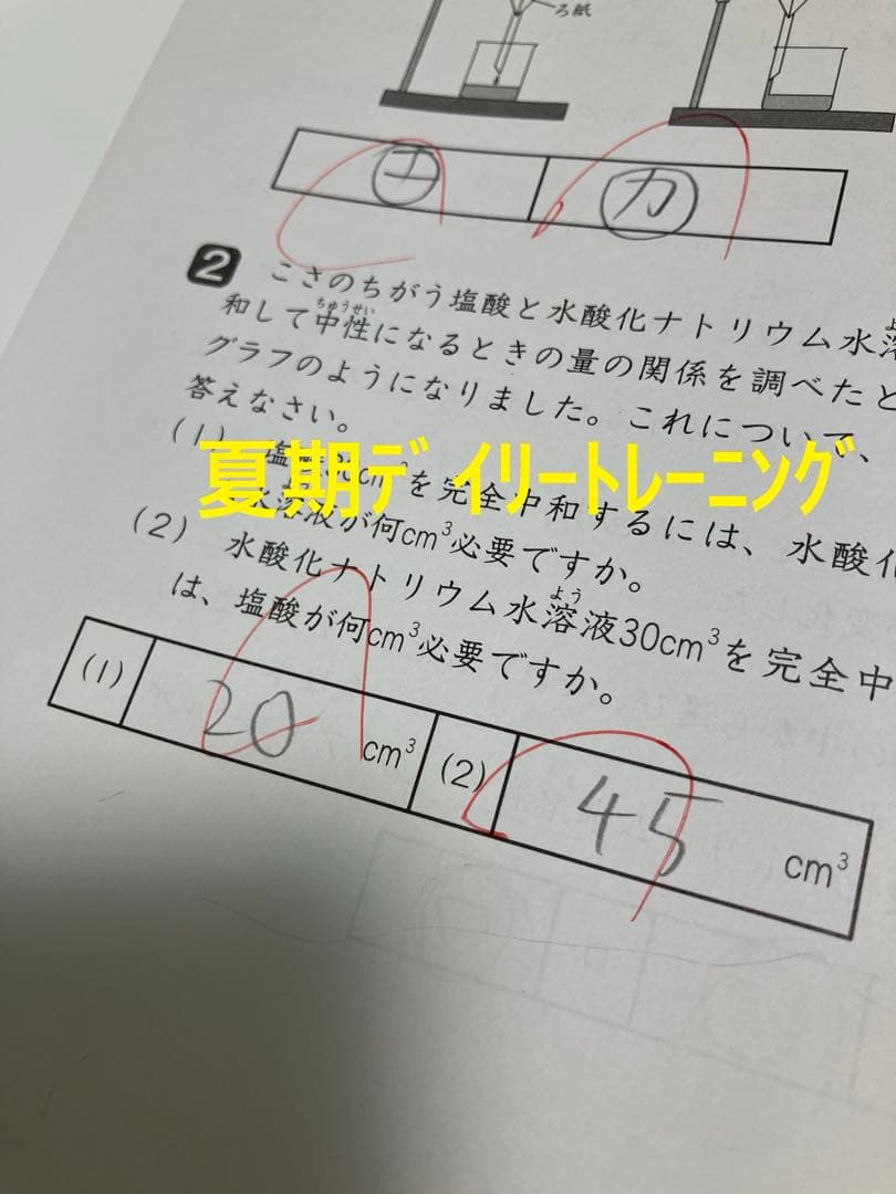 小6 理科 デイリーサピックス 24回分+春期講習•夏期講習 ウィークリーサピ他