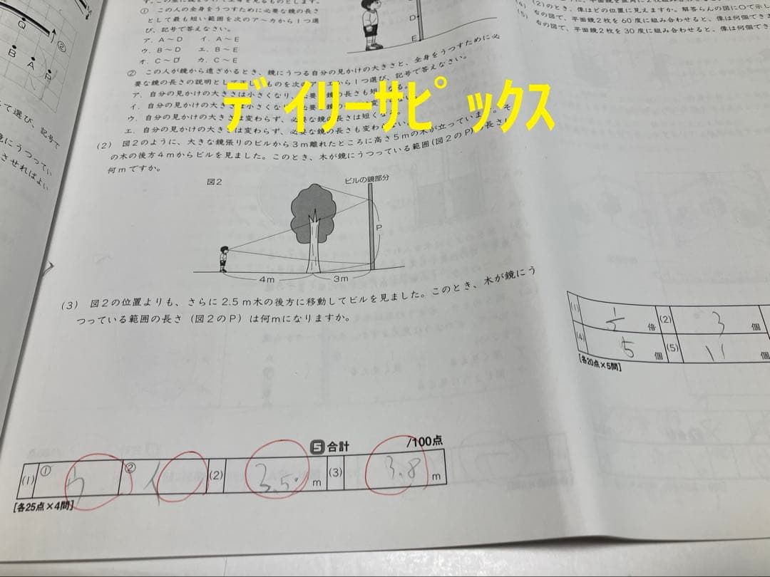 小6 理科 デイリーサピックス 24回分+春期講習•夏期講習 ウィークリーサピ他