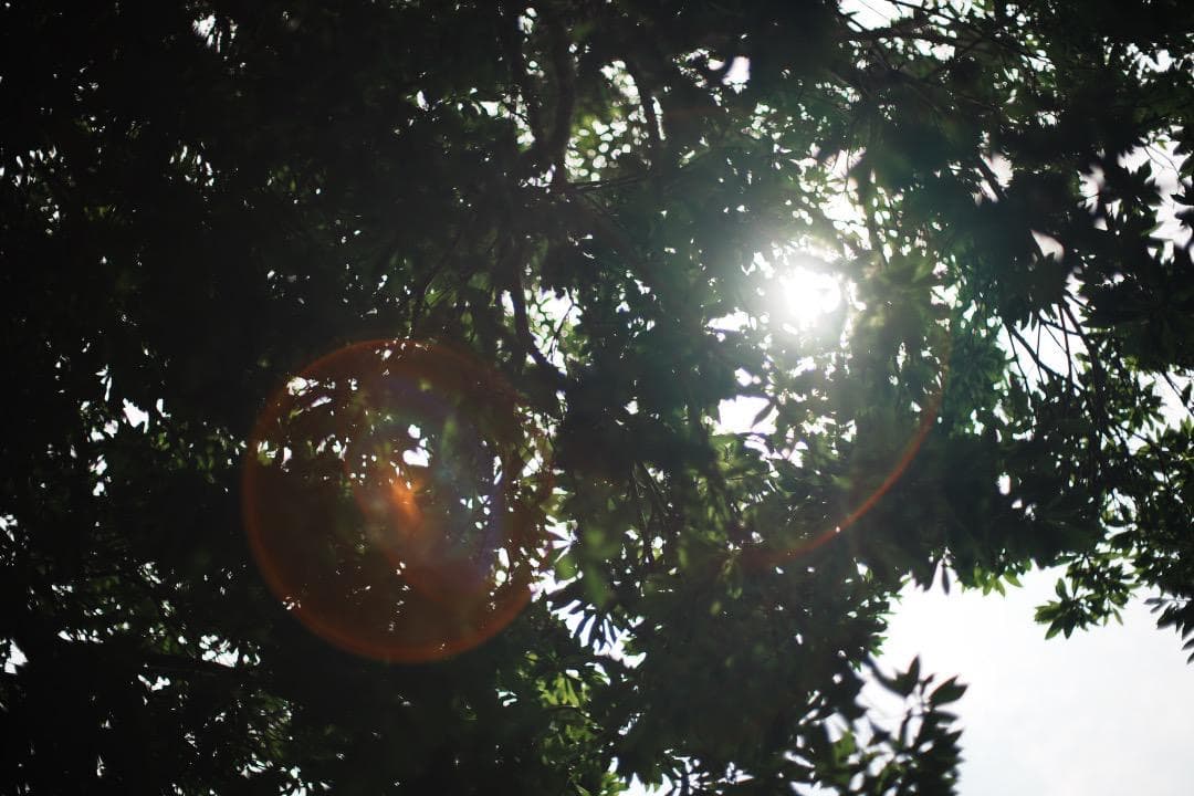 整備＆テスト済 Pentax SMC Takumar 50mm F1.4 837