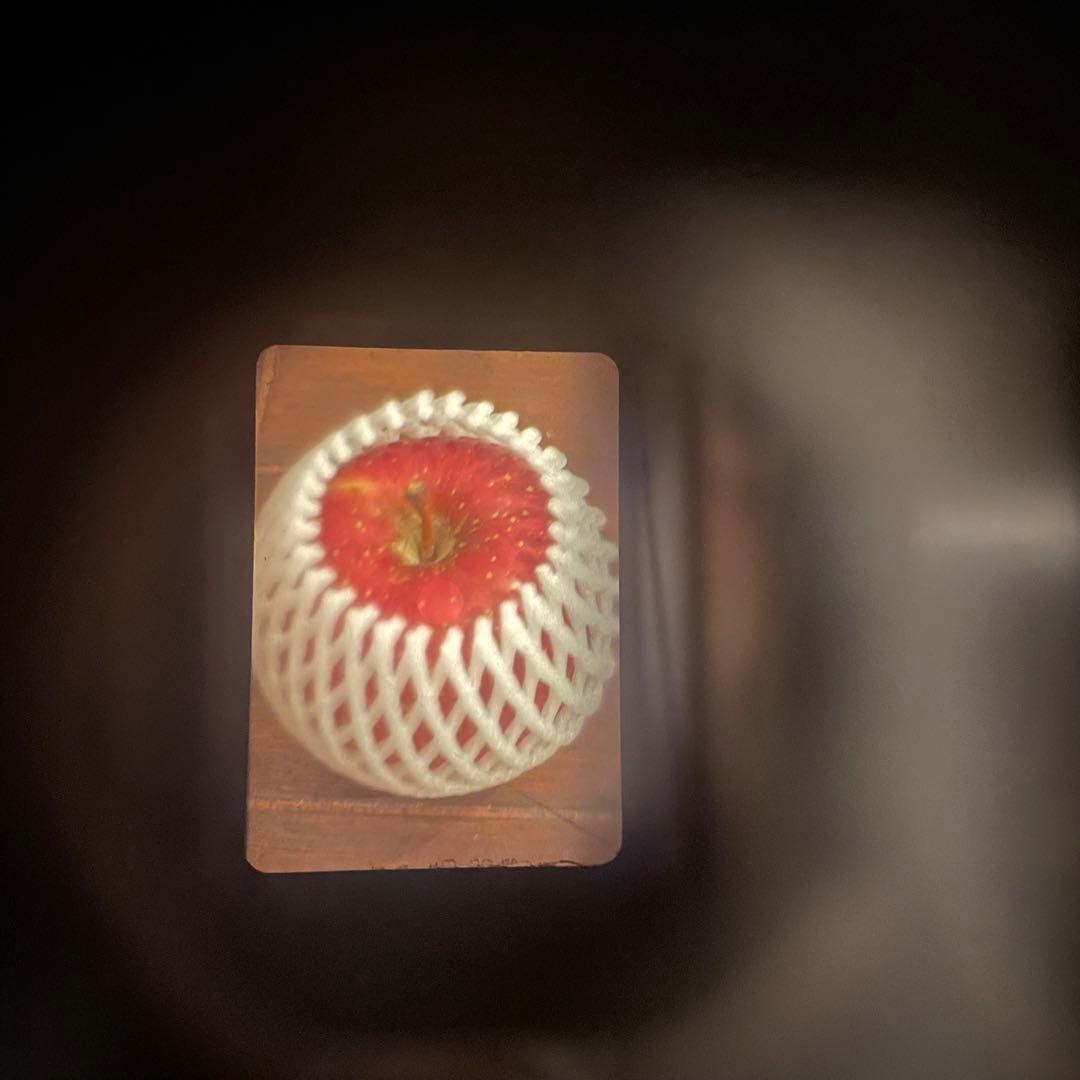 ［希少］Olympus PEN FT ハーフカメラ　ブラックペイント