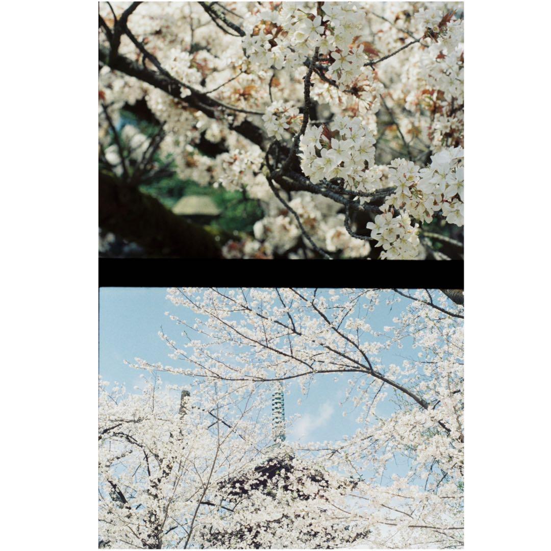 ［希少］Olympus PEN FT ハーフカメラ　ブラックペイント