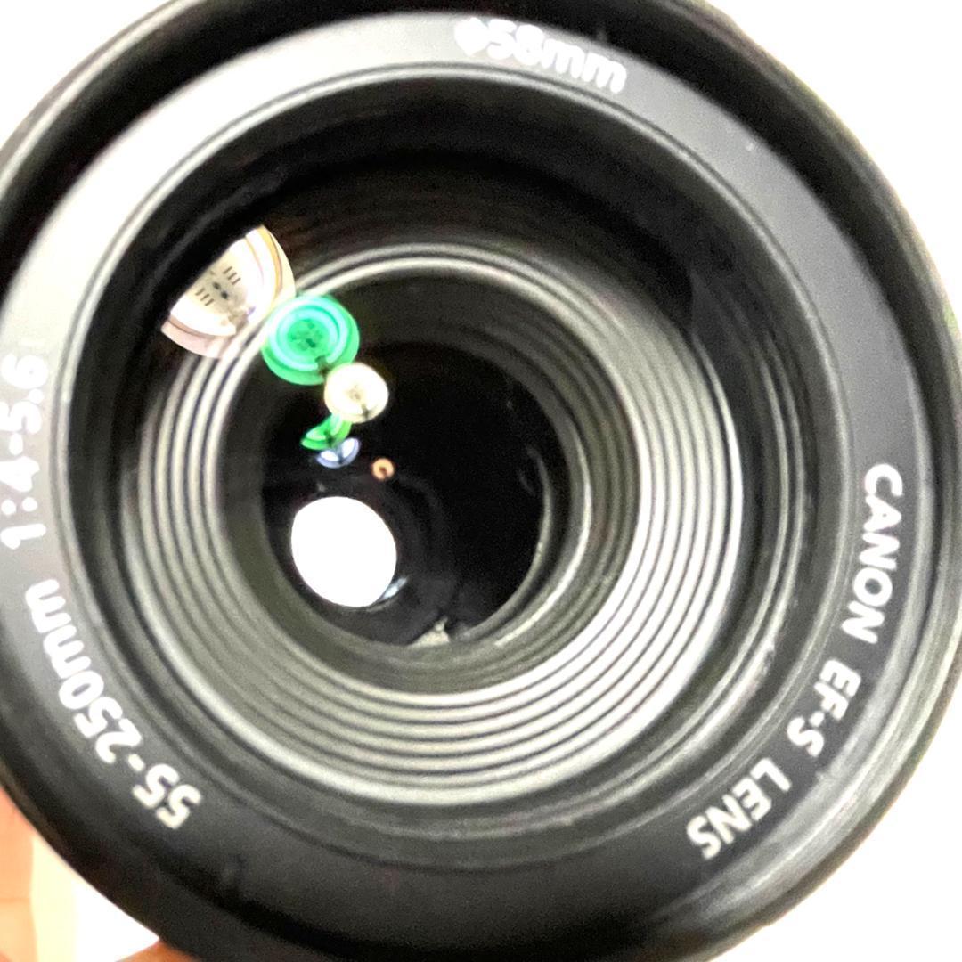 安心の手ぶれ補正☘️ EF-S 55-250mm 望遠ズームレンズ コンパクト✨