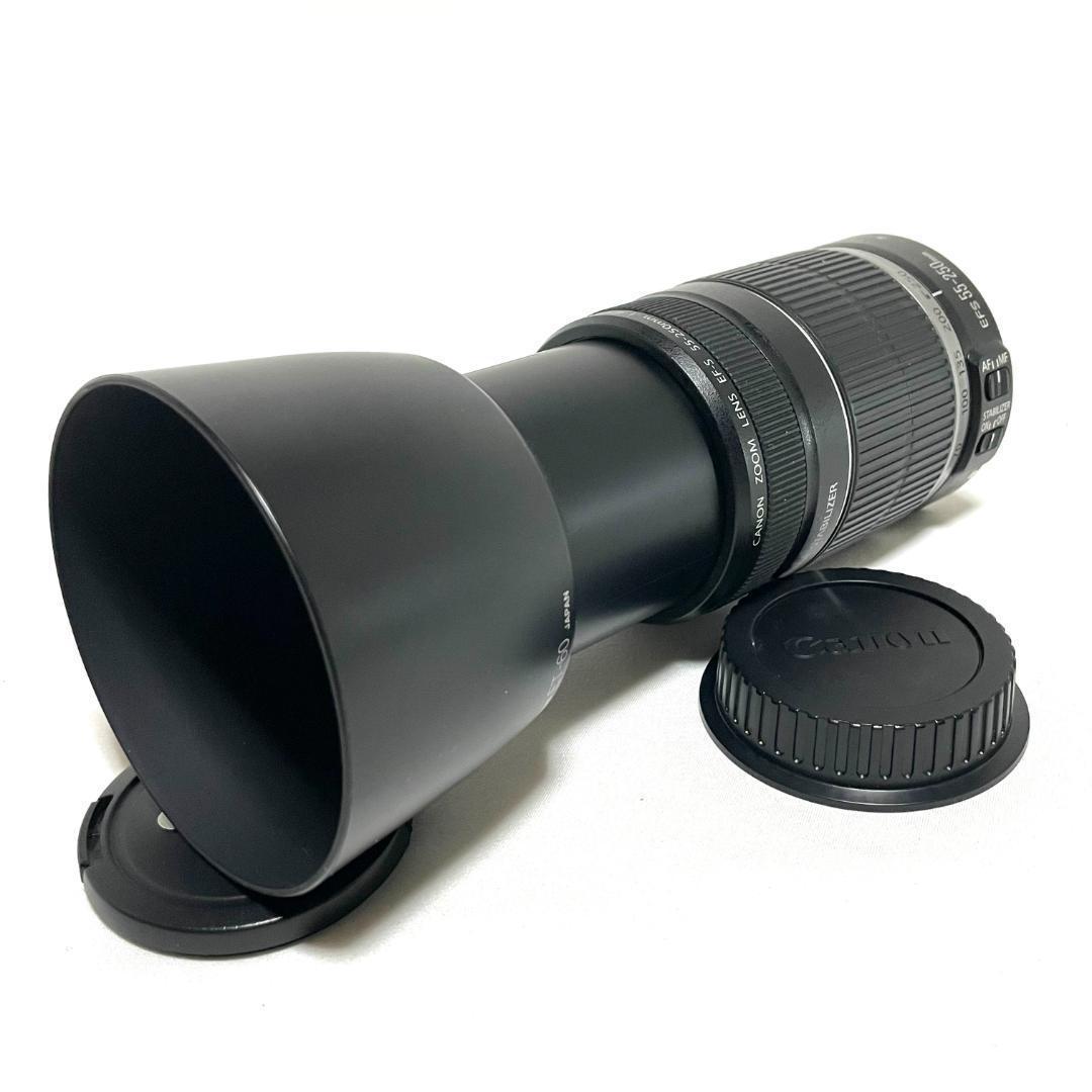 安心の手ぶれ補正☘️ EF-S 55-250mm 望遠ズームレンズ コンパクト✨