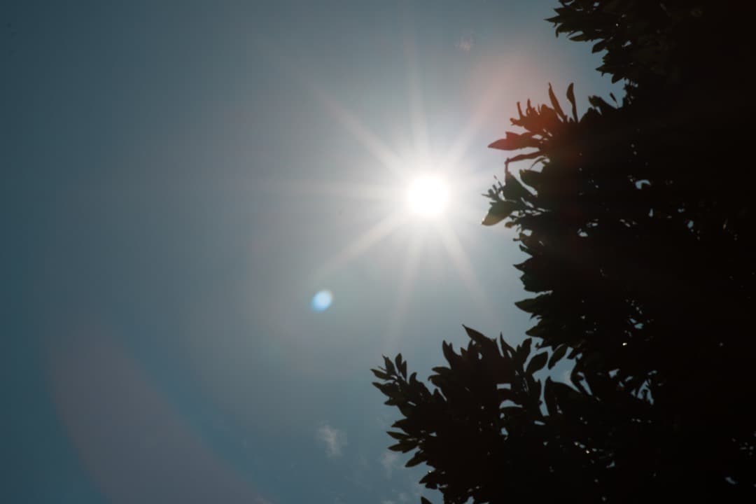 【極美品】Nikon AF Nikkor 85mm F1.4D IF 222