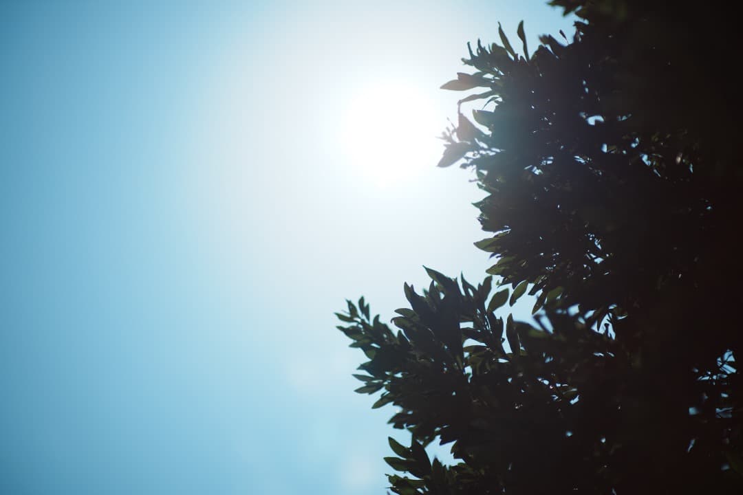 【極美品】Nikon AF Nikkor 85mm F1.4D IF 222