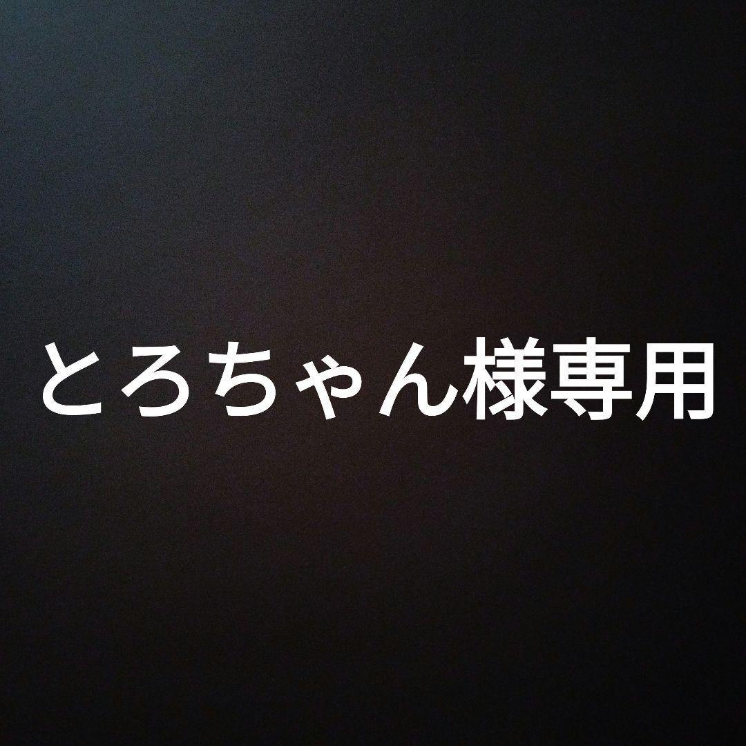 SSD-SCT1.0U3-BA　とろちゃん