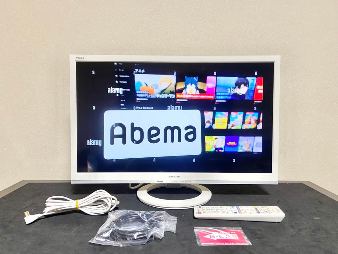 【今だけ優待価格】SHARP AQUOS｜24V型HD・Wチューナー