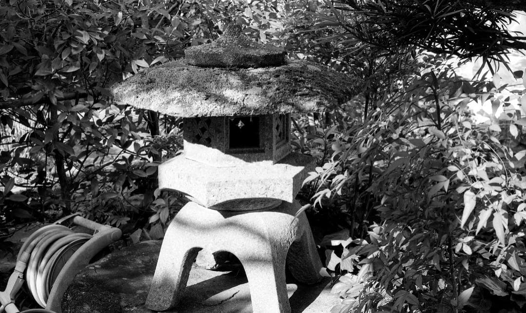 ContaxRTS本体、コンタックス