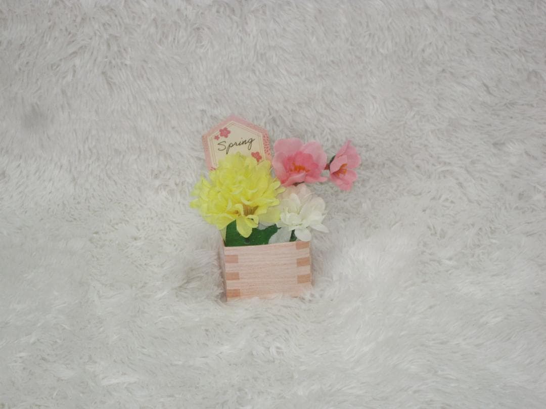 Canon キャノン コンパクトデジタルカメラ　 IXY 110F