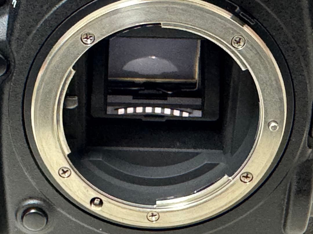 デジタルカメラ D500 16-80 VR Kit