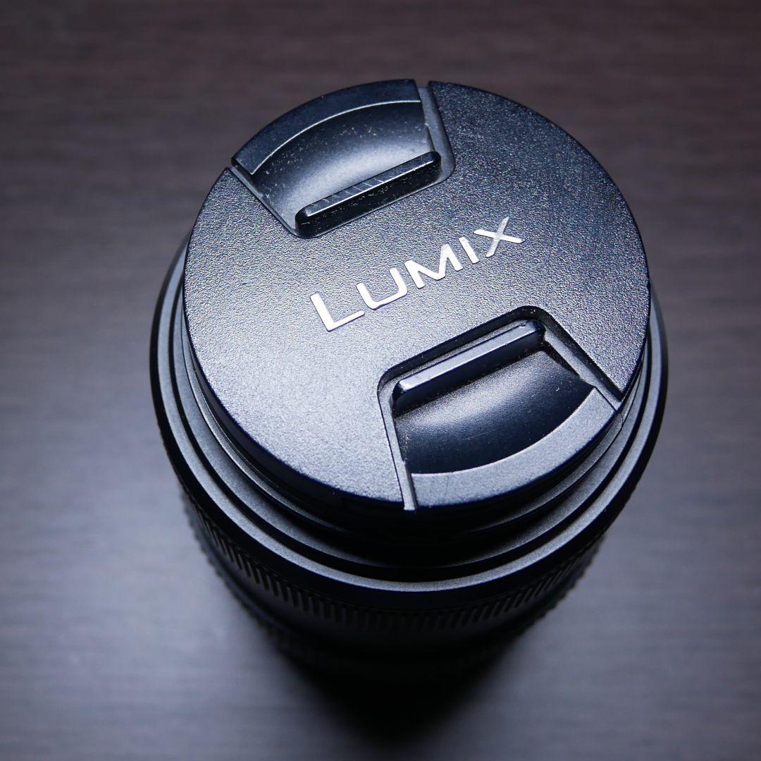 レンズ(ズーム) LUMIX G 45-200mm f4-5.6 H-FS045200