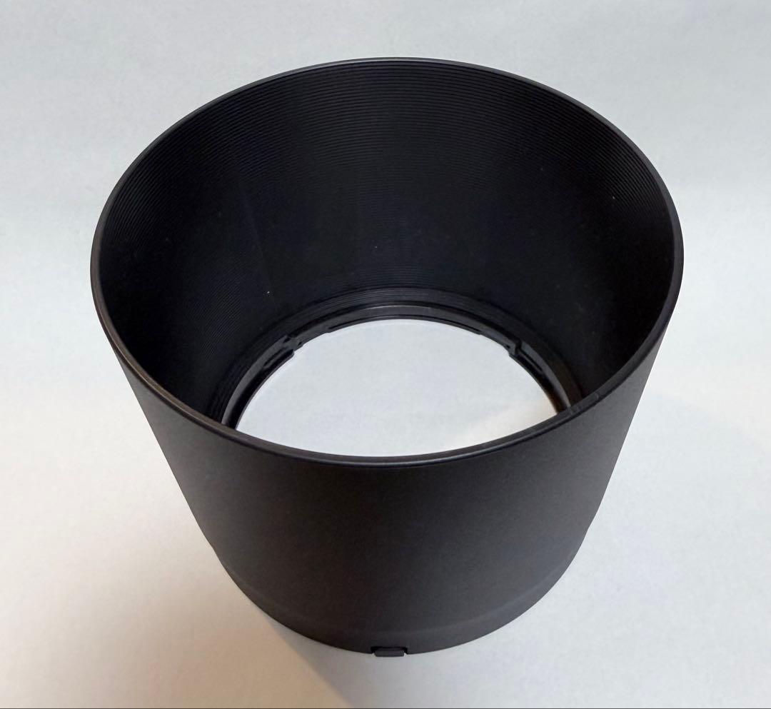 キヤノン RF200-800mm F6.3-9 IS USM 保護フィルター付