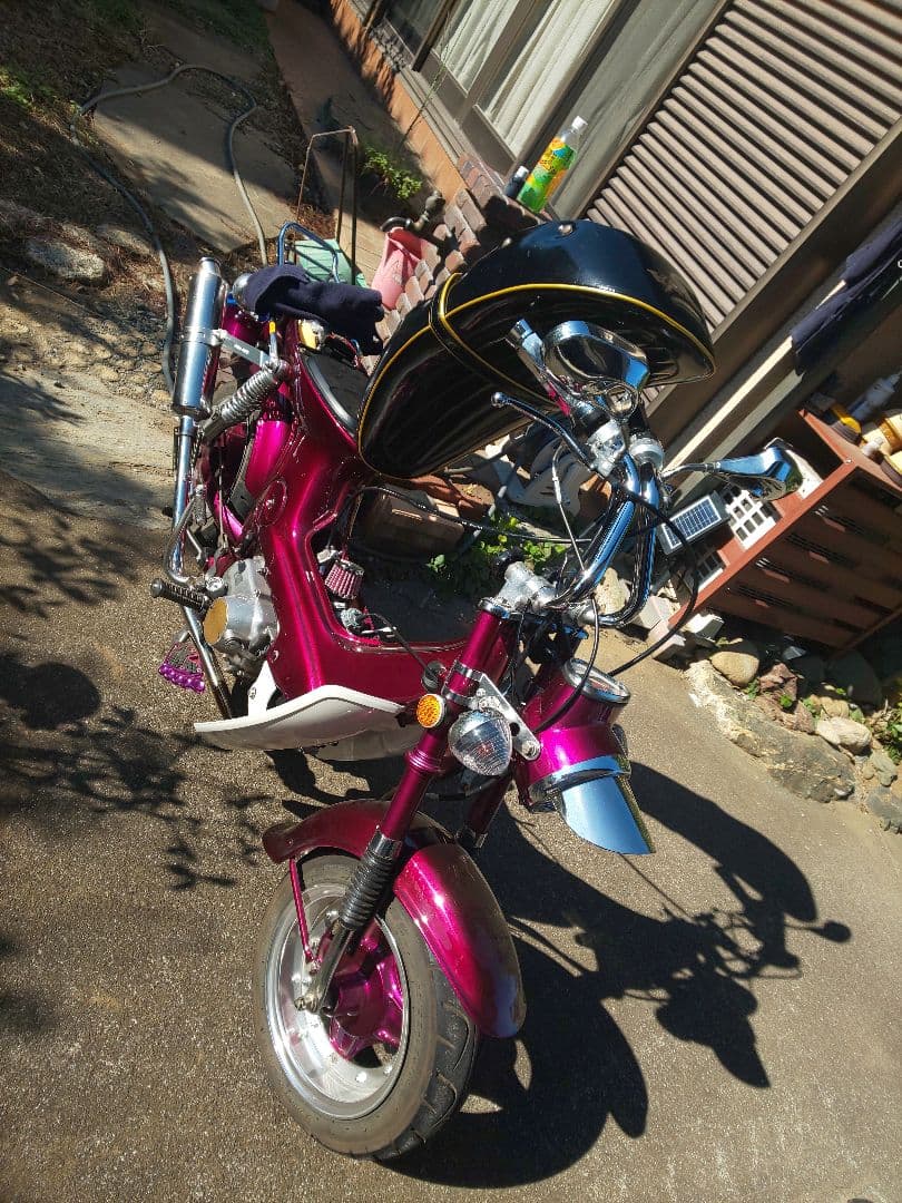 ⭐*️様 シャリーシャリィ&ダックスDAX用バナナ 氣志團カラー 黒＆金ちょび三