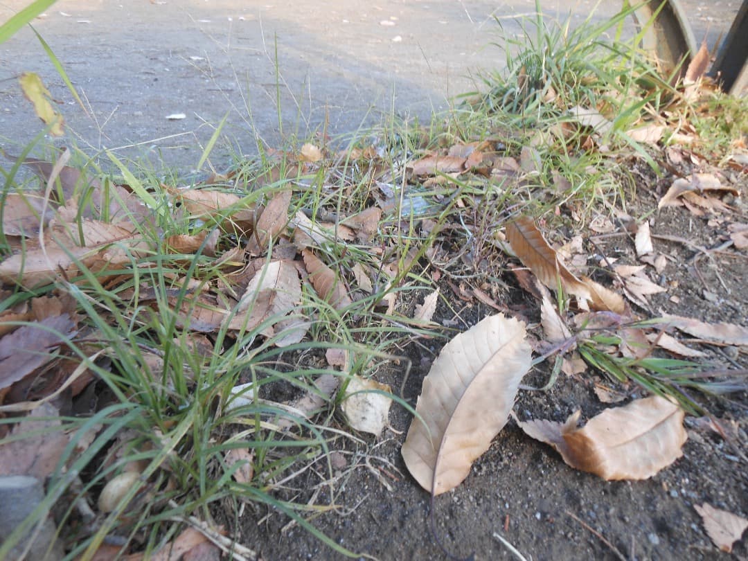 実写美⭕️【動作確認済み】Nikon COOLPIX S6200 デジカメ