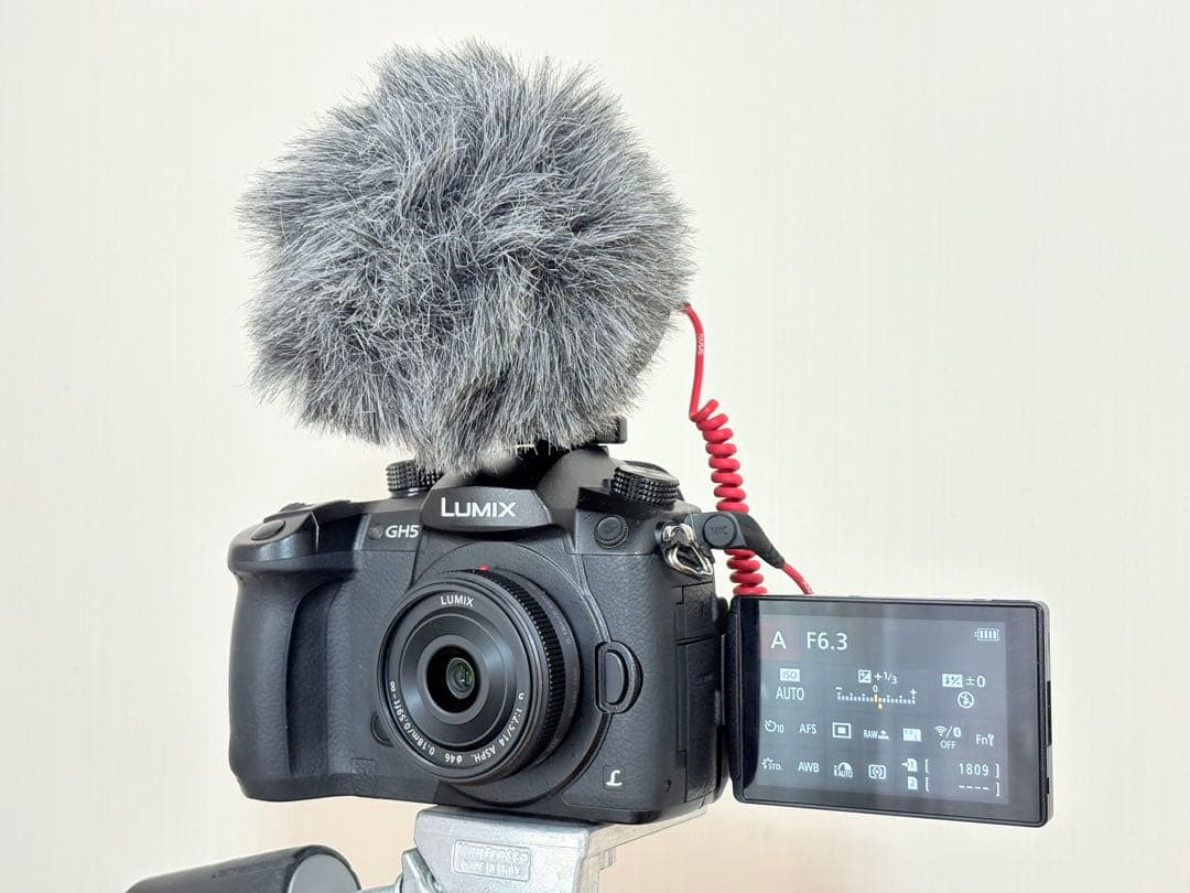 4K録画におすすめ 訳あり パナソニックGH5単焦点レンズ、外付けマイク付き