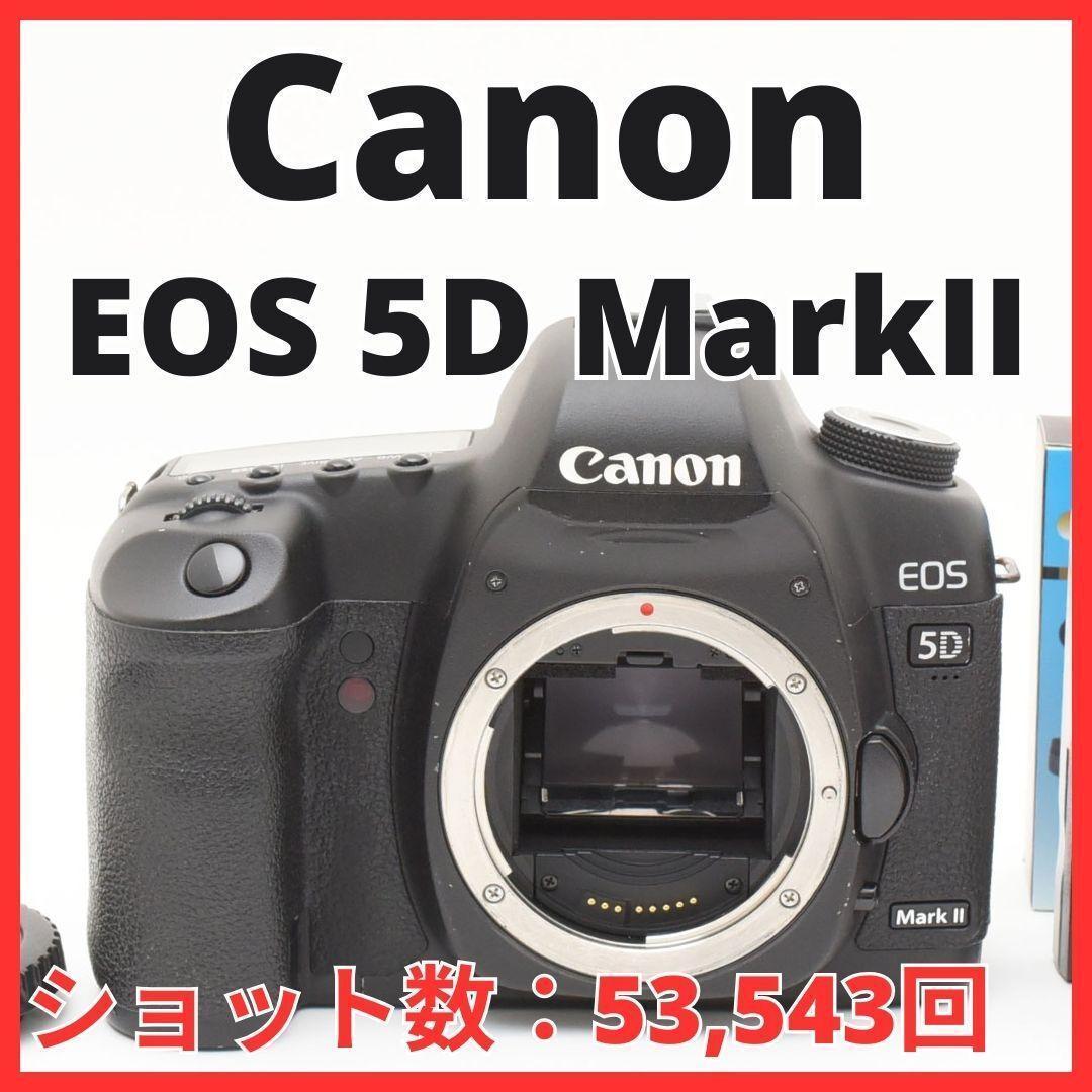 CANON キヤノン EOS 5D Mark2 ボディ バッテリー　充電器