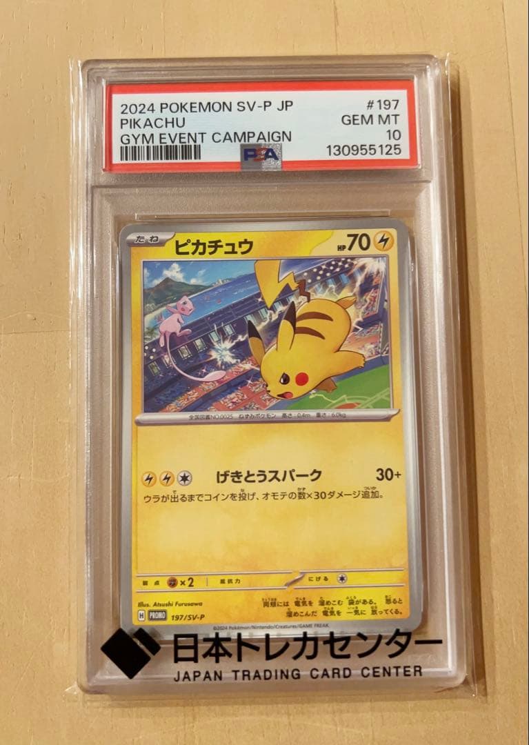 2024 ピカチュウ ジムイベントキャンペーン