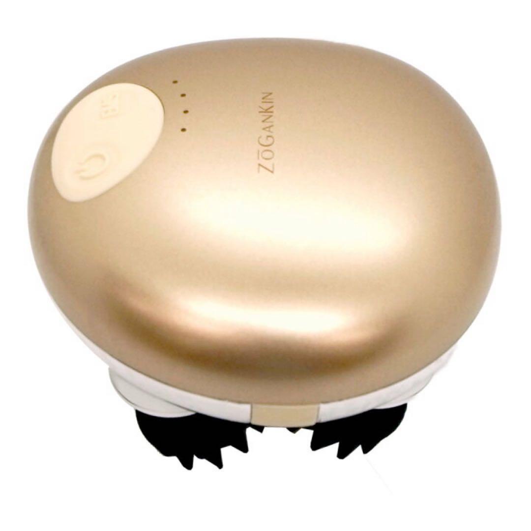 ZOGANKIN 美顔器 ゴールド