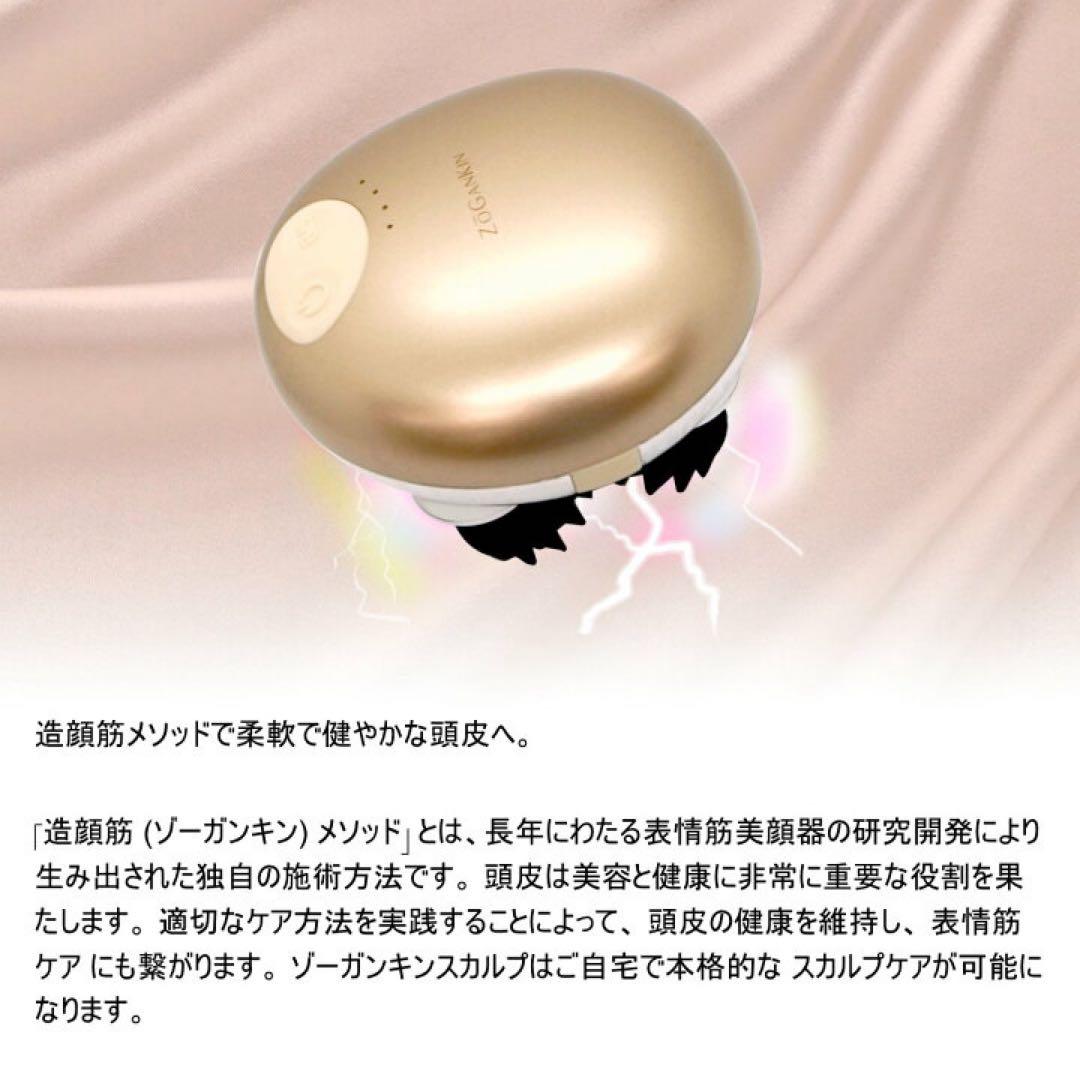 ZOGANKIN 美顔器 ゴールド