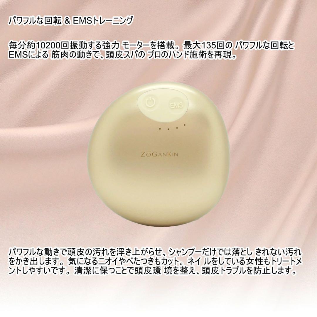 ZOGANKIN 美顔器 ゴールド