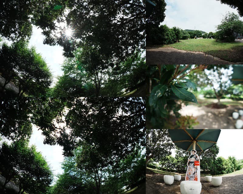 【遊べる】SONY SEL16F28 ワイド＆フィッシュアイコンバーターセット