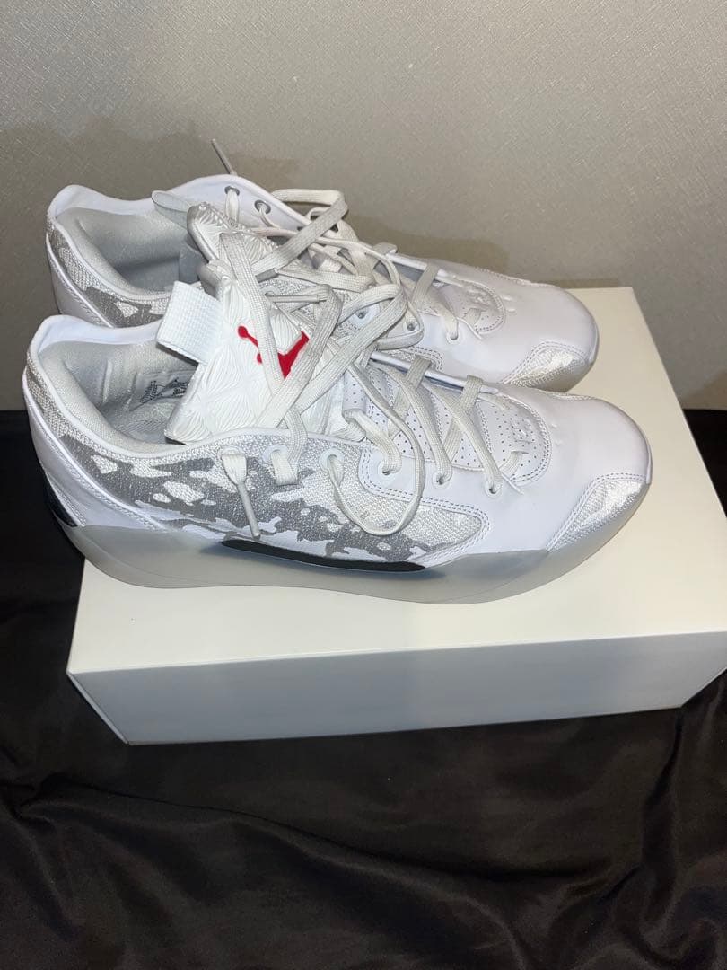 シューズ(男性用) Air Jordan 39 30cm