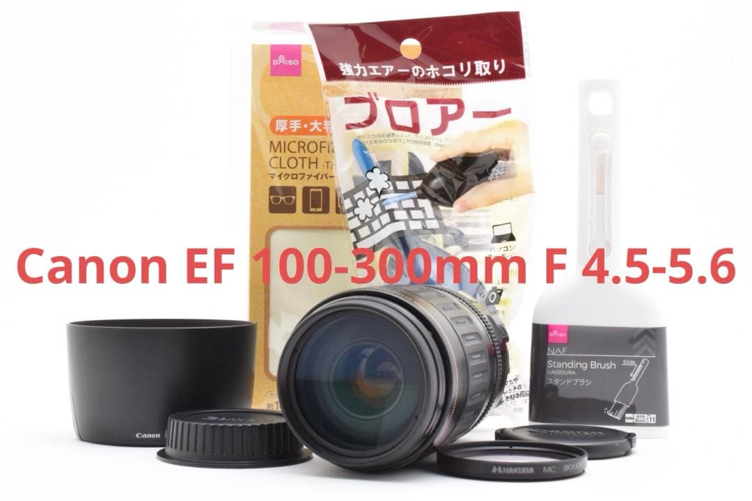 キャノン望遠レンズ Canon EF 100-300mm F 4.5-5.6