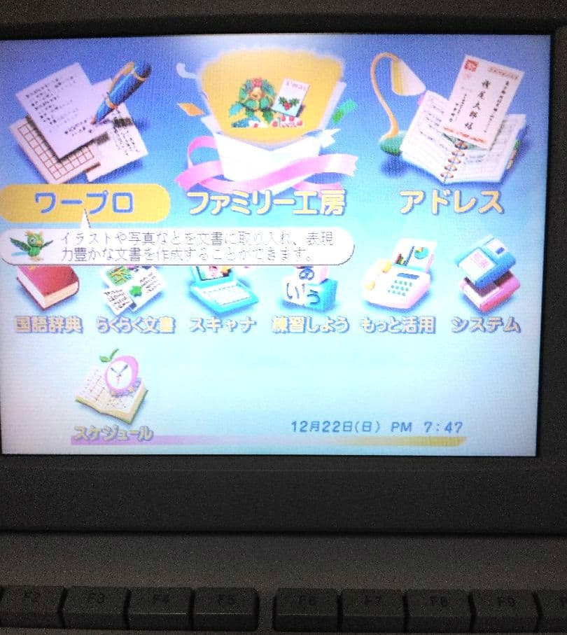 カシオカラーワ－プロDarwinCX-6000