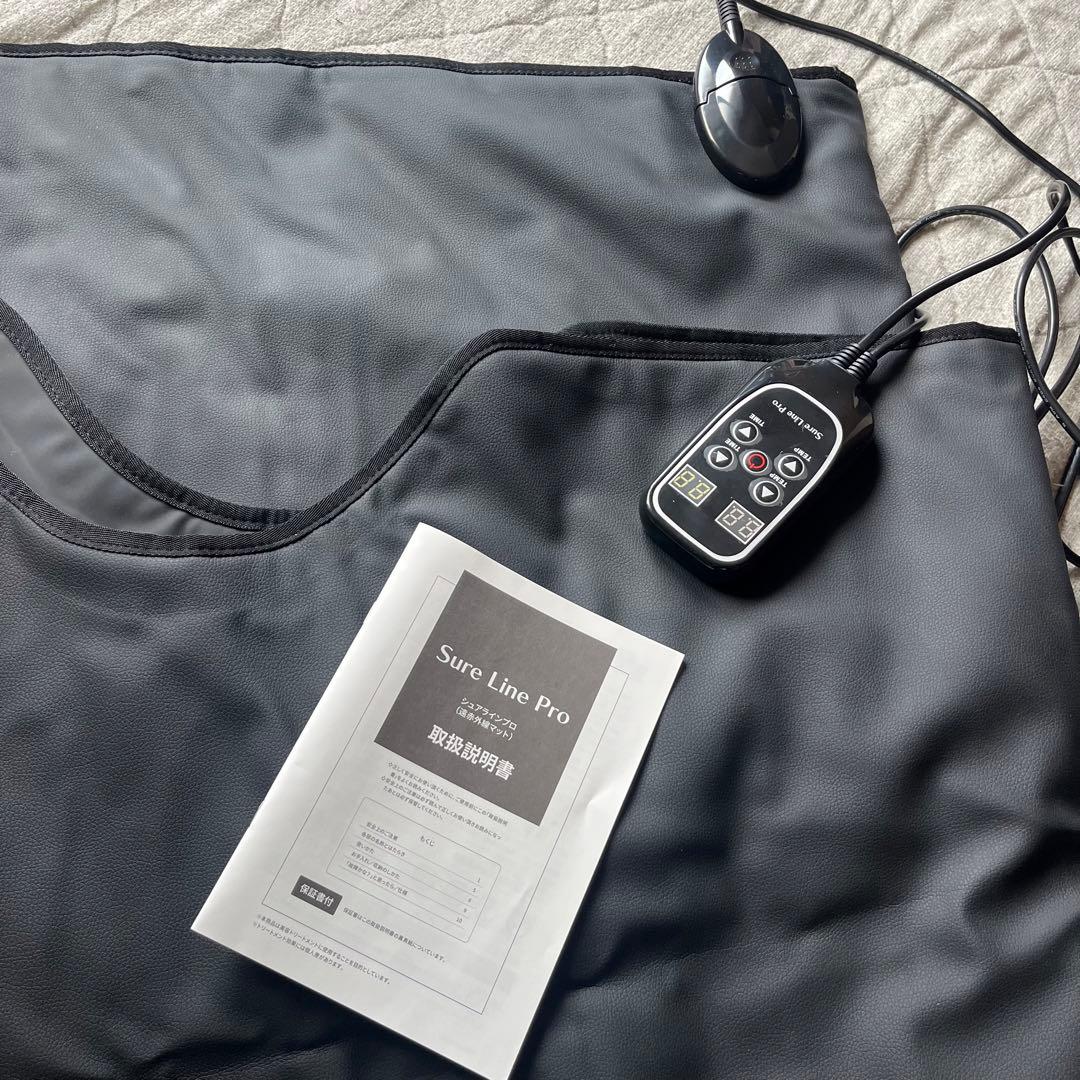 【最終値下げ！】シュアラインプロ-パスティール