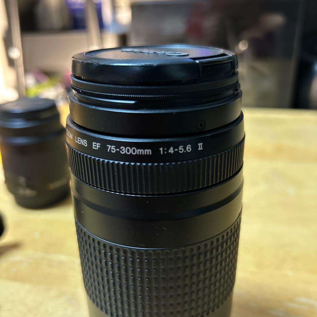 最終値下げCanon ズームレンズ セット 35-80mm 75-300mm