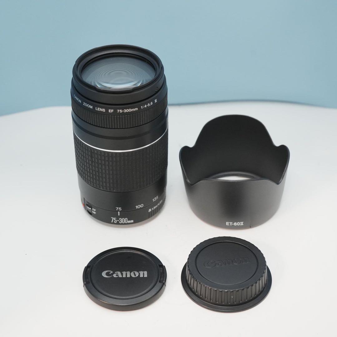 Canon純正 75-300mm 望遠レンズ 美品 a4687