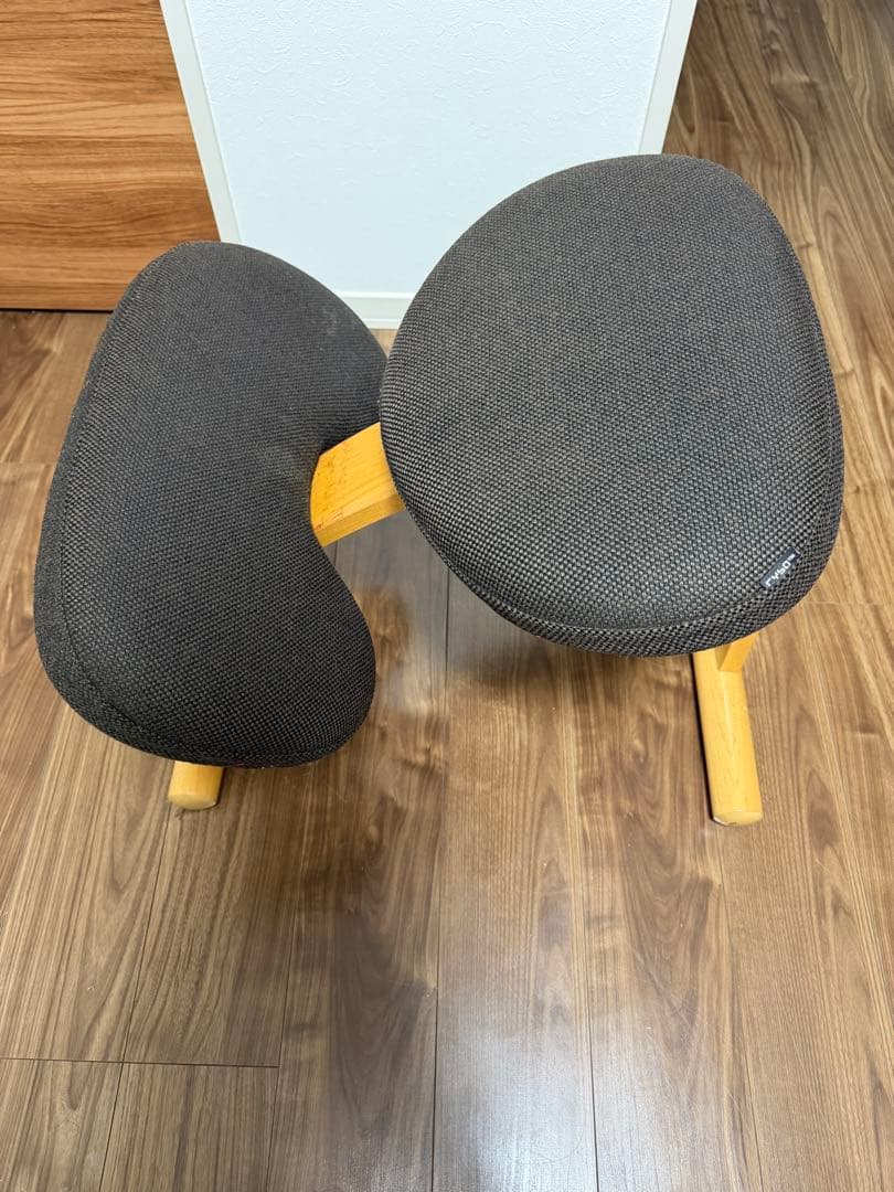 バランスチェア•イージー（黒）＋専用カバー（赤）