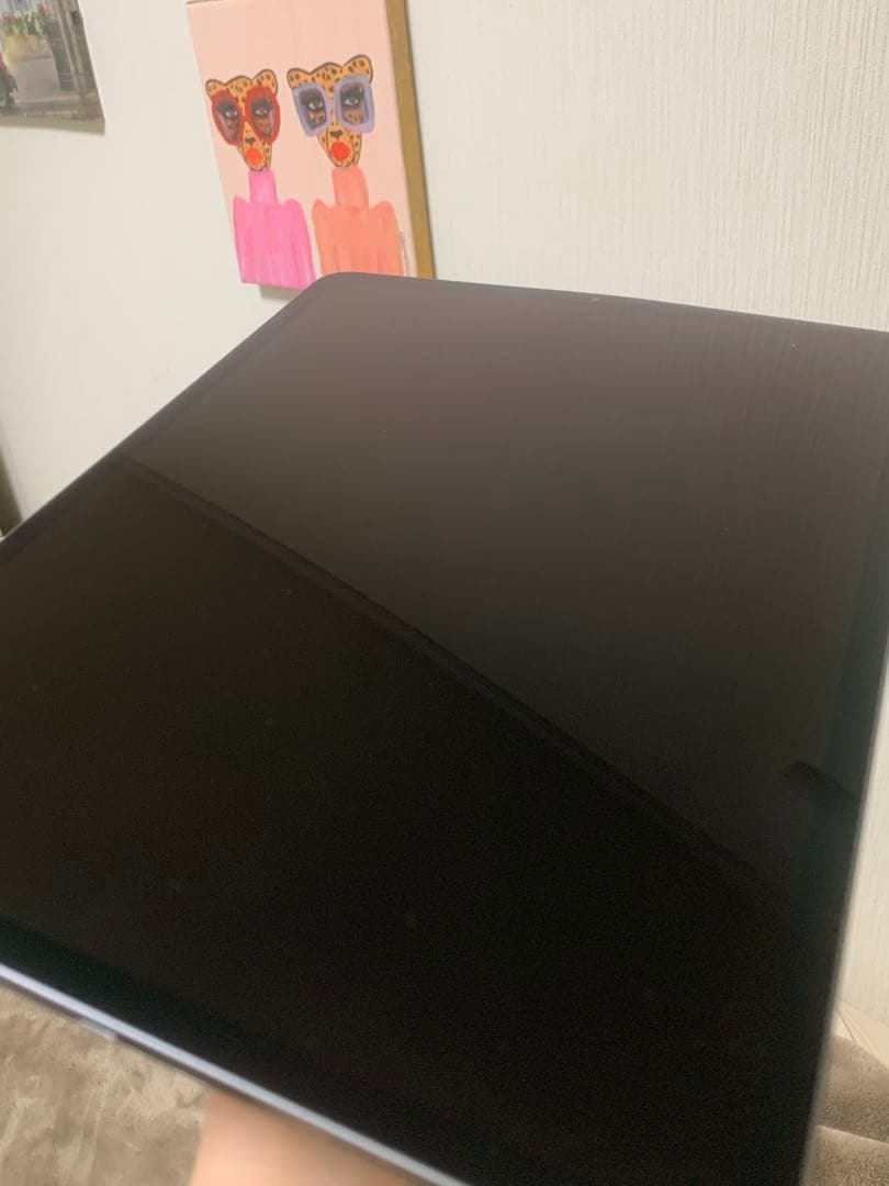 Apple iPad pro 第3世代 ペン+ペン先2個付き