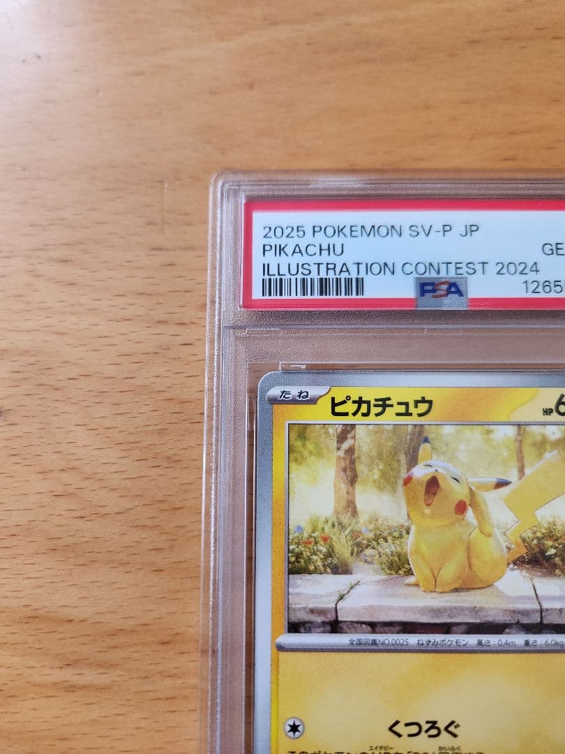 PSA10 ピカチュウ イラストレーション コンテスト プロモ 2024