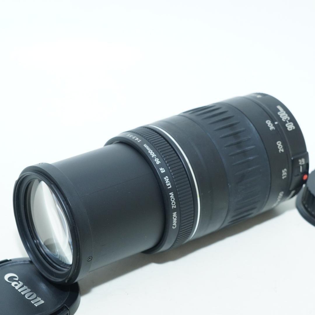 超望遠レンズで狙い撃ち★キャノン★EF 90-300mm 4.5-5.6